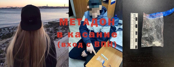 прущие грибы Алексеевка
