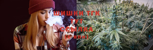 ешки Алексин