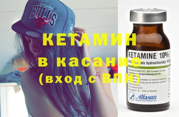 прущие грибы Алексеевка