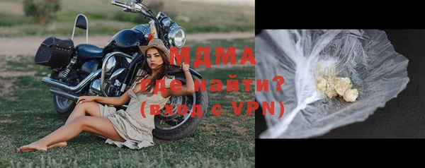 прущие грибы Алексеевка