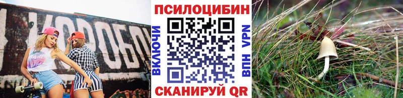 ОМГ ОМГ онион  Краснообск  Псилоцибиновые грибы Psilocybe 